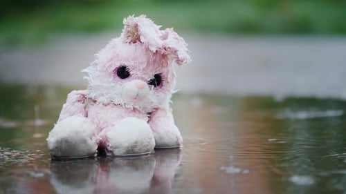 Pink Rabbit Sits in Puddle During Rain