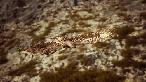 Realistic 3D Animated Eagle Flying Over Mountain Landscape