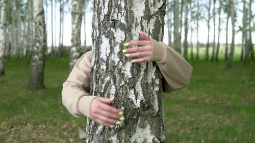 Person Hugging a Birch Tree in Forest