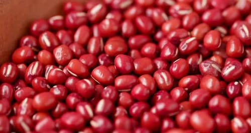 Adzuki bean