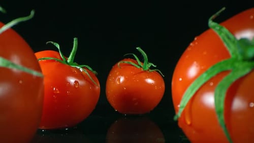 Macro Shot Of Just Washed Tomatoes