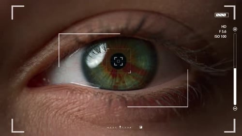 Makro-Augenerkennungssystem überprüft die Netzhaut des Benutzers