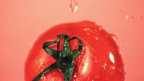 Juicy Red Tomato Being Sprinkled with Water