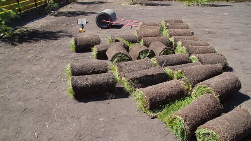 Yard and Garden Landscaping Concept