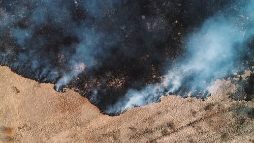 Forest and Field Fire. Dry Grass Burns, Natural Disaster. Aerial View. View Vertically From Top To