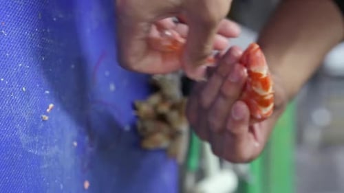 Hands Peeling Cooked Prawn Seafood Preparation