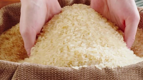Rice Texture Closeup