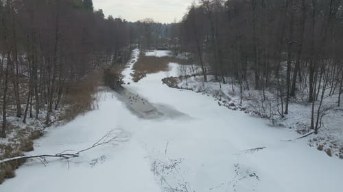 Enten auf einem zugefrorenen See