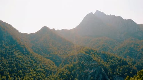Rocky Mountains Peaks Covered with Green Trees Under Sunlight