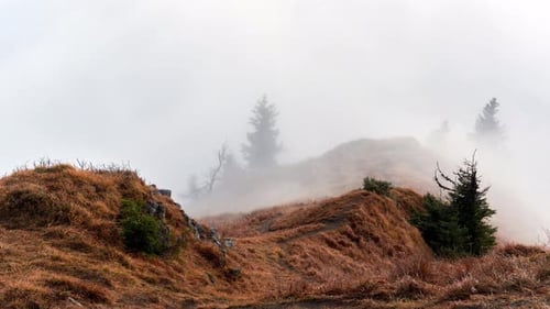 Waves of Mist Spill Over a Grassy Mountain Hill