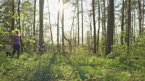 Grandmother and Grandson Walking Together in the Park at Sunset