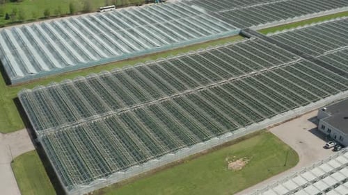 Aerial View of Large Agricultural Greenhouses in Rural Landscape