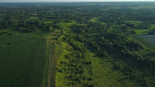Aerial View Beautiful Landscape in Summer Drone Flying Over Field in Sunny Day