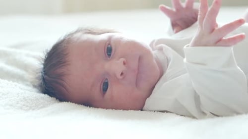 Close-up portrait of a young baby who has recently been born.