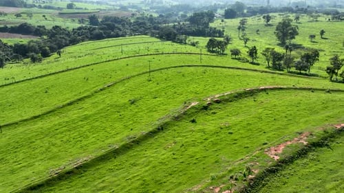 Countryside rural landscape aerial view. Preparing for cultivation.
