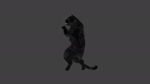 Animated Black Panther Standing on Hind Legs