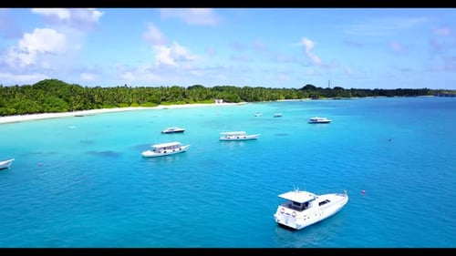 Aerial top view nature of luxury seashore beach wildlife by clear sea with white sand background of