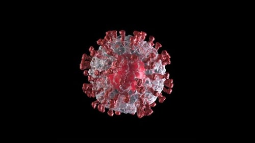 3D Virus Cell Rotating Microbiology Animation