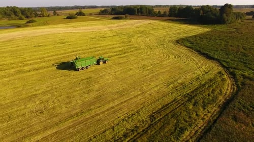The tractor is stacking haystacks on an agricultural field in autumn, aerial view