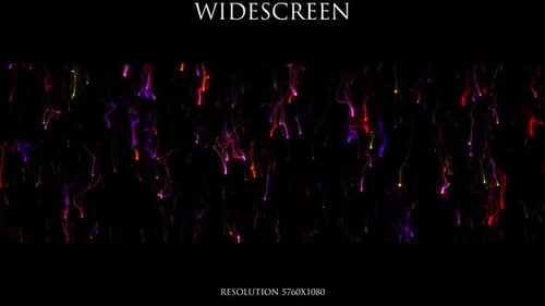 Dynamic Abstract Colorful Light Trails Flowing Background