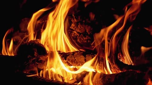 Bonfire. Campfire From Branches Burns at Night. Slow Motion