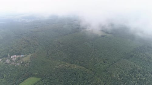 Aerial of a forest and clouds