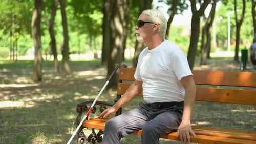 Alter Blinder findet langen Stock auf Bank, Gehen im Park unabhängig, Ruhe