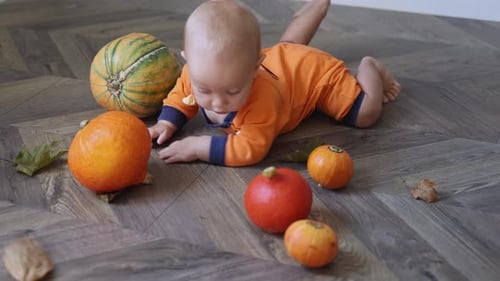 Baby Plays with Pumpkins on Wooden Floor
