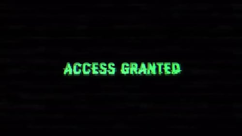 Zugriff gewährt Glitch-Text mit Rauschen und VHS-Hintergrund