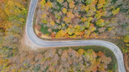 Aerial View of Fall Foliage and Winding Road
