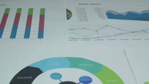 Data Charts and Graphs with Business Analytics