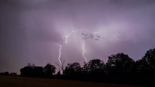 Night Time Lightning Storm with Tree Silhouettes
