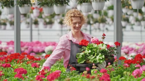 Woman tending to flowers in greenhouse