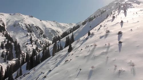 Snowy Mountain Range with Trees in Winter