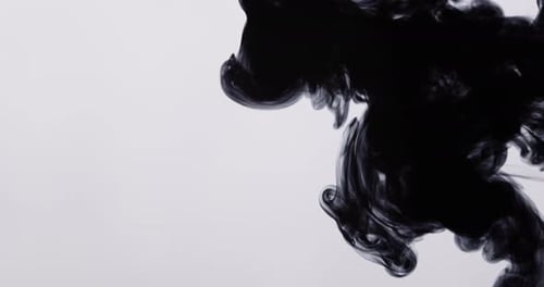 Abstract Black Liquid Swirling in White Background