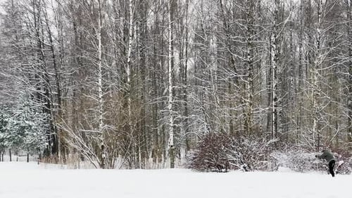 Starker Schneefall in einem wilden Park Große Schneeflocken fallen langsam Menschen gehen in der
