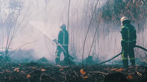 Two Firefighters in Equipment Extinguish Forest Fire with Fire Hose. Slow Motion