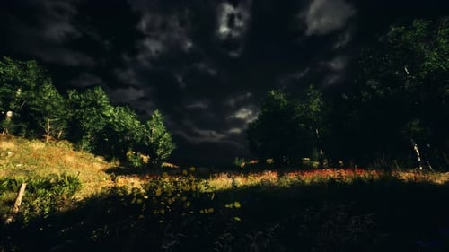 Thunderstorm Clouds with Lightning in Green Meadow