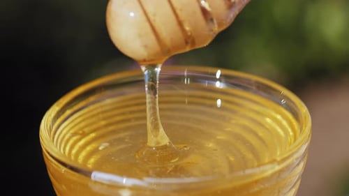 Golden Honey Dripping from Wooden Dipper