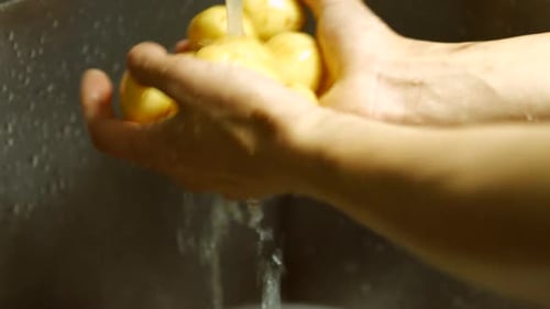 Washing fresh potatoes in a kitchen sink