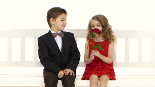 Boy Gives Red Rose to Girl, Holds Hands