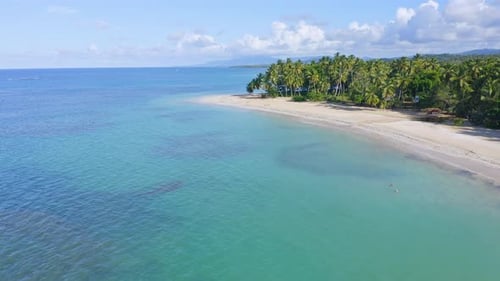 Aerial flight over crystal clear Caribbean Sea and sandy beach with tropical palm trees during sunny