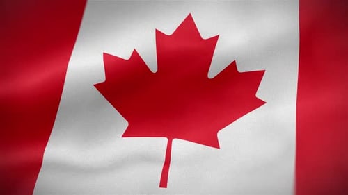 Realistic Seamless Loop of Waving Canadian Flag