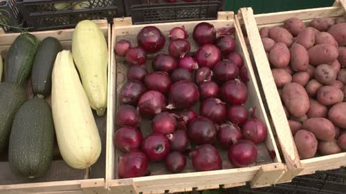 Vegetables on the Market Counter.
