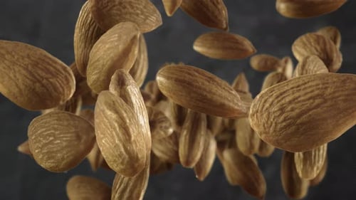 Realistic Almonds Falling and Rising Loop Animation