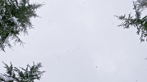Schnee