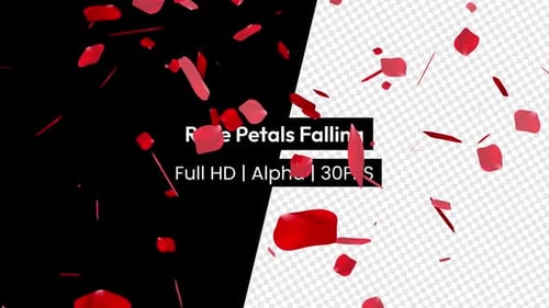 Falling Rose Petals Alpha Overlay