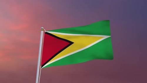 Realistic Guyana Flag Waving 3D Animation