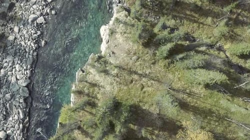 Top aerial view of a blue clear river flowing in the coniferous summer forest
