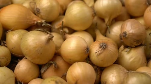 Footage White Onions Rotation Background